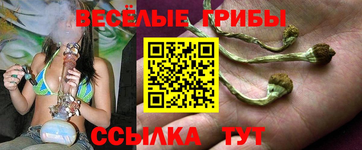 Усть-Джегута  Галлюциногенные грибы мухоморы  Псилоцибиновые грибы Magic Shrooms  Вход с VPN 